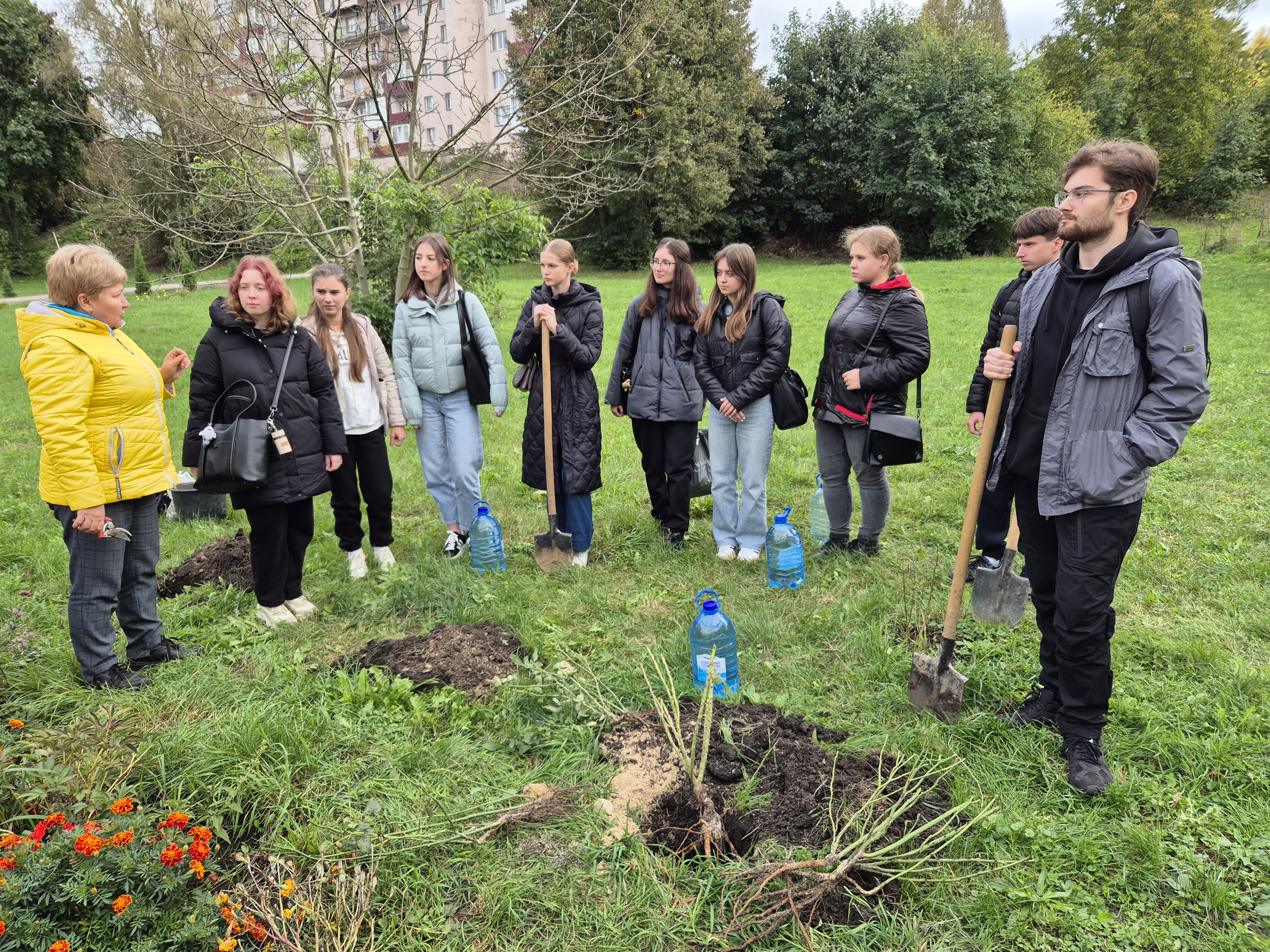 Настанови перед висадженням троянд